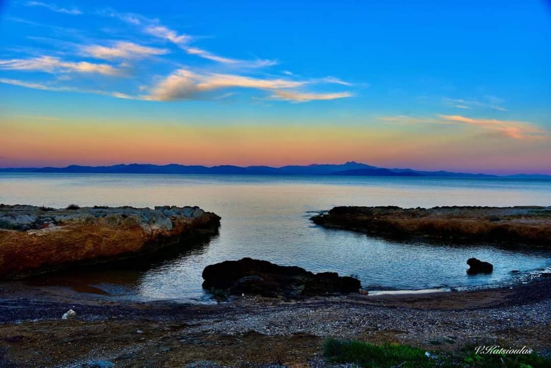 Cozy Apartment Near Sea And Airport Αρτέμιδα Εξωτερικό φωτογραφία
